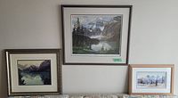 Three framed landscape prints on wall showing lot contents
