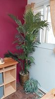 Tall faux palm plant with multiple fronds in wicker pot with decorative rocks, smaller spider plant on floor in front.