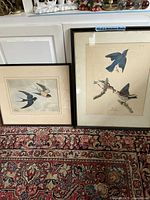 Two framed bird prints leaning against a white cabinet on a patterned rug. Left print depicts two swallows in flight, right print shows two perched blue birds.