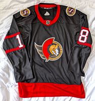 Front view of the hockey jersey showing the Ottawa Senators large logo, number 18 on sleeves, and red trim.