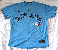 Front view of the Toronto Blue Jays George Springer baseball jersey in light blue with 'BLUE JAYS' across chest, team logo, and Nike logo.