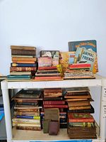 Overview of two shelves filled with vintage and reference books showing titles, condition, and arrangement.