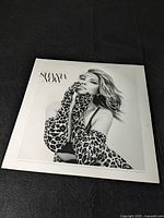 Front cover of the Shania Twain "Shania Now" album featuring a black and white photo of Shania with leopard print gloves.