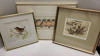 Photo showing three framed artworks: small brown bird on branch, four fluffy robins on branch in center, monochrome detailed bird print on right.
