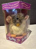 Front side of Furby and plastic display box showing the Furby toy in mint condition inside the clear packaging with purple border and logo.