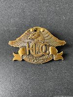 Front view of vintage brass lapel pin featuring eagle and Harley Owners Group emblem