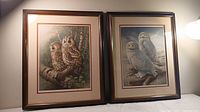 Two framed owl prints side by side: left print shows The Tawny Owl owls on branch, right print shows The Snowy Owl owls on ground.