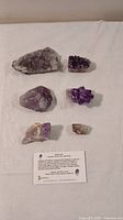 Photo showing six raw amethyst pieces arranged on a white surface with accompanying information card, highlighting various sizes and crystal forms in different purple hues.
