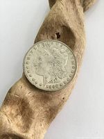 Close-up photo of the obverse side of the 1886 American silver dollar coin showing Lady Liberty's profile and the date 1886.