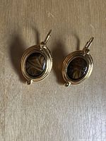 Pair of gold coloured metal earrings with oval carved tiger's eye stones, viewed from front on wood surface.