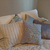 Six small bedroom pillows arranged on a bed, showing variety of designs including a sequined star, woven texture, stripes and branch print.