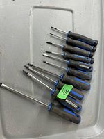 Photo showing all 10 Mastercraft screwdrivers, varying sizes and types, black and blue handles, metal shafts.