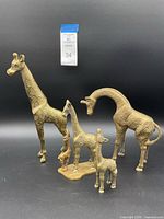 Four brass giraffe figures arranged on black backdrop showing full set and relative sizes