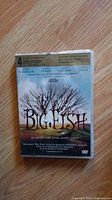 Front cover of Big Fish DVD showing title and tree artwork