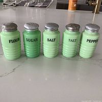Front view of all five shakers upright on kitchen counter showing labels and overall set