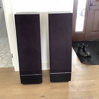 Front view of both speakers with grilles installed on hardwood floor