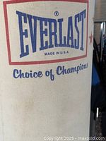Close-up of Everlast logo on the punching bag showing brand and slogan