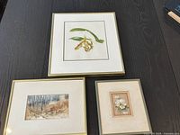 Three framed prints displayed together on dark wood surface: large orchid botanical print, medium woodland scene, and small floral card dated 1909.