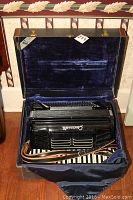 Front view of accordion inside open hard case