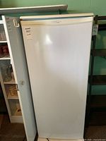Full view of the white upright refrigerator with closed door and Danby Designer logo visible on top center.