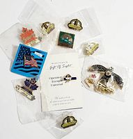 Full lot of 10 vintage collectible pins in original and loose formats.