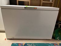 Front view of the closed white Wood's Ultra chest freezer placed on a floor mat.