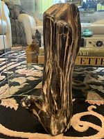 Close-up side view showing the curved protruding section and polished surface of the fossilized specimen.