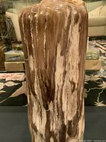 Front view of the large fossilized stone specimen showing polished surface with brown, cream, and white striations.