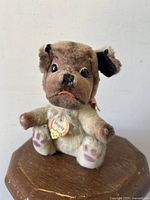 Front view of vintage Steiff Mopsy plush pug dog sitting upright showing facial details and chest tag