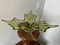 Top view of the green abstract leaf-shaped glass bowl highlighting its shape and size.