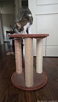 Side view of the cat scratching post with three posts wrapped in sisal rope and carpeted base and top, with a cat on top.
