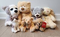 Photo showing seven plush toys arranged side by side including bears, dogs, and a cat in various colors and sizes