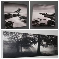 Three black and white canvas prints including one large landscape (tree scene) and two smaller square coastline images.