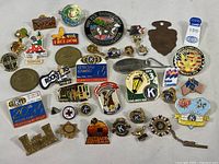A wide-angle view of the full assortment of assorted vintage pins with multiple themes including Kiwanis, NRA Freedom, and travel.