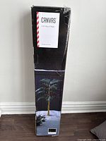Tall boxed package labeled 'CANVAS 5'9" Palm Tree'.