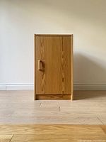Front view of a modern wooden cabinet with a single door and wood grain finish.