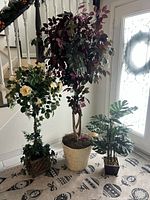 Wide shot of the three artificial plants near a doorway and staircase