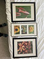 Three framed pictures of flowers arranged on a white sheet.