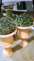 Two faux topiaries in beige urn-style resin planters, showing wear on plants, planters intact.