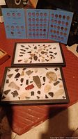 Prehistoric arrowheads arranged in two trays under glass showing various sizes and shapes.