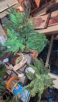 Photo showing multiple artificial plants including large fern and leafy green plants in various pots on wood and stone surfaces.