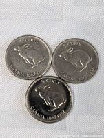 Three 1967 Canadian 5 cents coins with rabbit design on white fabric background. Two coins show circulated wear, one is very shiny and polished.