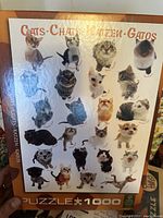 Box cover of Cats Chats Katzen Gatos puzzle showing multiple cat illustrations in various poses and breeds, multilingual title.