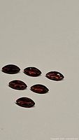 Photo of six natural marquis cut garnet gemstones from Mozambique in deep red color, arranged on plain background.