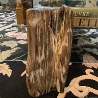 Large, polished fossilized stone specimen upright on a patterned carpet with books in the background.