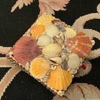 Top view showing the lid decorated with seashells of different sizes and colors.