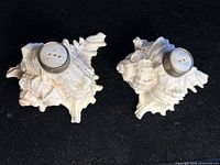 Pair of conch shell salt and pepper shakers with metal tops, shown from above on a dark surface