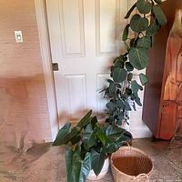 Two indoor potted plants on the floor next to a white door, with a wicker basket beside them.