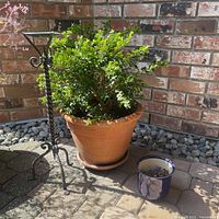 Outdoor photo showing large terracotta planter with live plant, standing on stone patio next to wrought iron candle holder and small ceramic planter.
