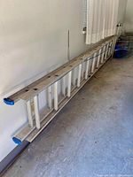 Full view of the Reynolds aluminum extension ladder resting on the ground against a wall, showing its length and condition.